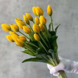 Як правильно вибрати букет з тюльпанів
