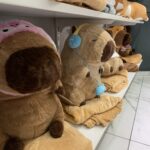 Іграшка 3 в 1 Копібара (плед+ подушка)
