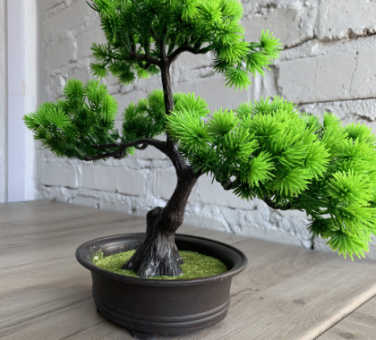 Штучний бонсай