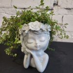 Композиція «Дівчинка» з живою Солейролією – декоративний кашпо | Tefiti Бровари