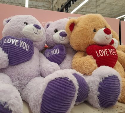 м’яка іграшка