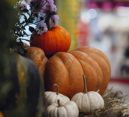 гарбуз на хелловін