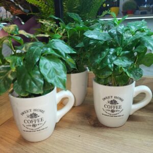 кава в чашці