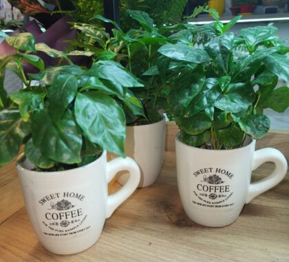 кава в чашці