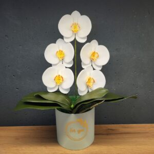 Орхідея біла з мила