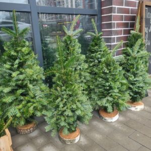 Ялинка мотанка 80см