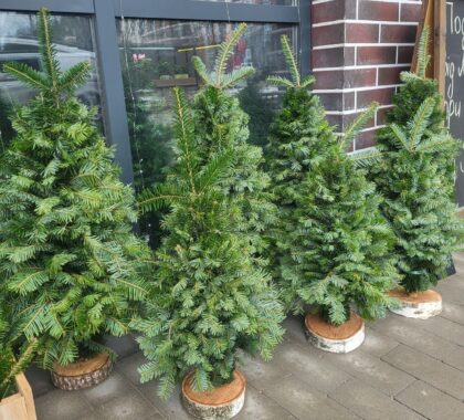 Ялинка мотанка 80см