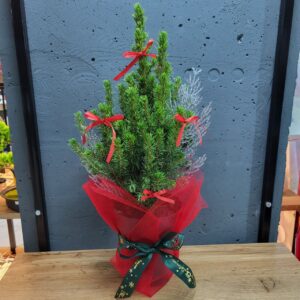 Ялинка Коніка в горщику з декором 13х50см