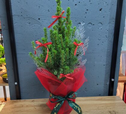 Ялинка Коніка в горщику з декором 13х50см