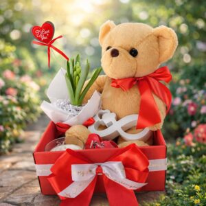 Подарунковий бокс з Ведмедиком та геоцинтом