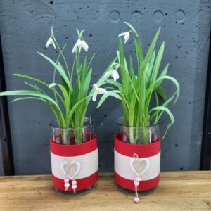 Підсніжник (галантус) у скляному кашпо 9,5х35см