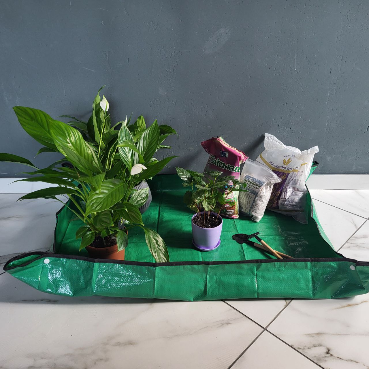 Килимок для пересадки рослин 100х75см.
