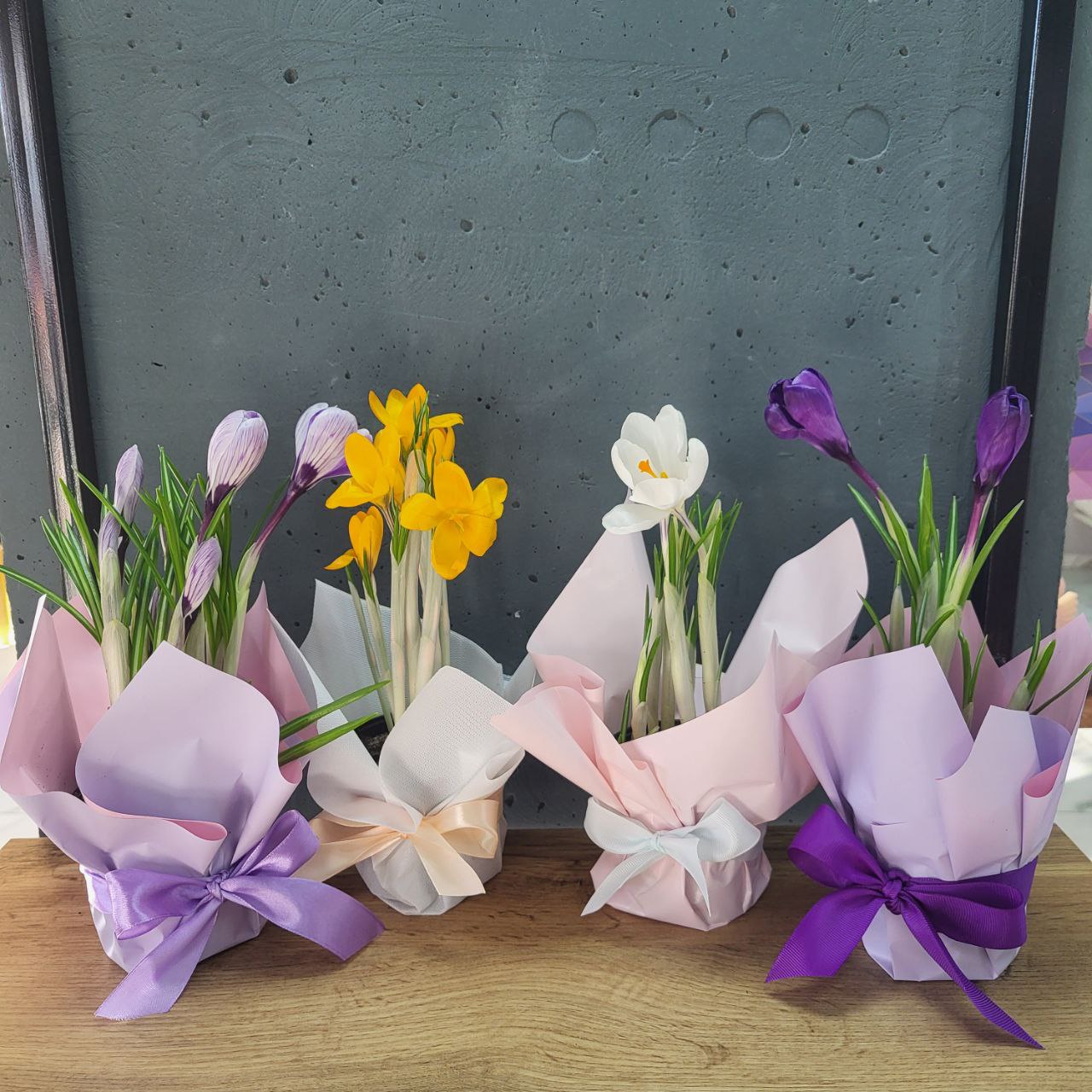 Крокус в горщику діаметром 9см