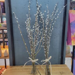 Букетик з верби