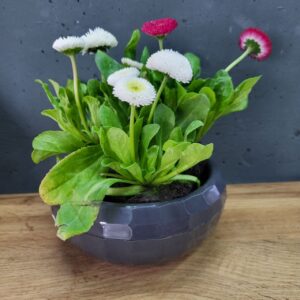 Горщик для квітів круглий 0,7л (антрацит)