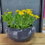 Горщик для квітів круглий 4,2л (антрацит)