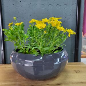 Горщик для квітів круглий 4,2л (антрацит)