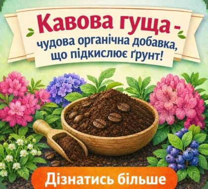 Кавова гуща - чудова органічна добавка, що підкислює ґрунт!